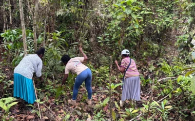 Sembrando Esperanza: Nace nuestra primera Huerta Comunitaria en la Vereda La Gloria